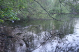 2026_04_23-19_43_03.jpg