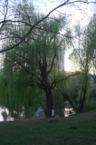 2026_04_23-19_50_25.jpg