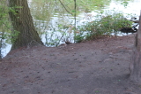 2026_04_23-20_03_42.jpg