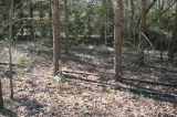 2026_04_26-12_31_31.jpg