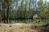 2026_04_30-13_03_17.jpg