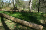 2026_04_30-13_06_11.jpg
