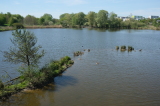 2026_05_03-11_03_28.jpg