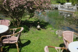 2026_05_03-12_08_05.jpg
