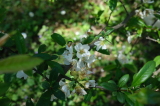 2026_05_03-12_14_29.jpg