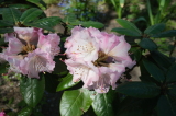 2026_05_03-12_51_17.jpg