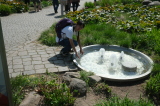 2026_05_03-13_35_41.jpg