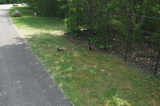 2026_05_03-13_55_42.jpg