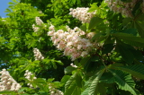 2026_05_10-09_03_13.jpg