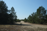 2026_05_10-09_39_18.jpg