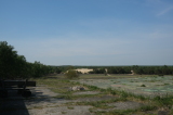 2026_05_10-10_04_19.jpg