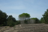 2026_05_10-10_55_16.jpg