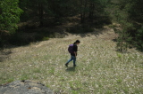2026_05_10-12_40_55.jpg