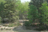2026_05_10-12_40_58.jpg