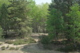 2026_05_10-12_41_00.jpg