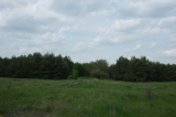 2026_05_10-13_35_47.jpg