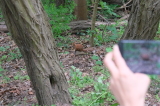 2026_05_16-13_10_01.jpg