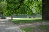 2026_05_16-13_15_21.jpg