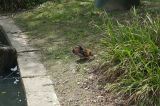 2026_05_16-13_55_03.jpg