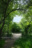2026_05_16-14_11_21.jpg
