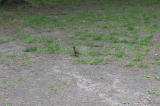 2026_05_16-14_23_48.jpg