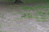 2026_05_16-14_24_00.jpg