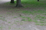 2026_05_16-14_24_02.jpg