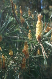 2026_05_17-09_58_03.jpg