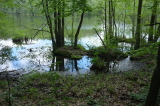 2026_05_17-10_52_49.jpg