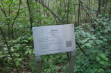 2026_05_17-12_57_55.jpg