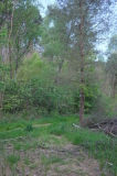 2026_05_17-13_01_19.jpg