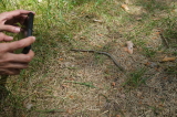 2026_05_17-13_51_44.jpg