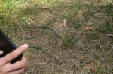 2026_05_17-13_52_03.jpg