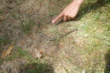 2026_05_17-13_52_21.jpg
