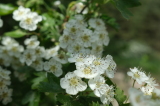 2026_05_17-14_05_15.jpg