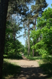 2026_05_23-13_25_06.jpg