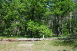 2026_05_23-13_28_07.jpg