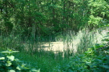 2026_05_23-13_37_03.jpg