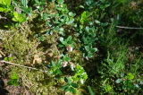 2026_05_25-10_49_02.jpg