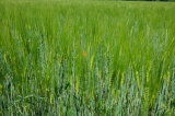2026_05_25-13_59_43.jpg