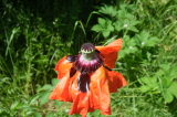 2026_05_31-12_07_28.jpg
