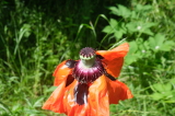 2026_05_31-12_08_17.jpg
