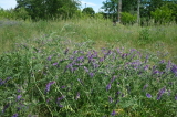 2026_05_31-12_14_33.jpg