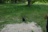 2026_05_31-12_27_40.jpg