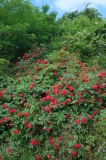 2026_06_07-10_40_06.jpg