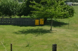 2026_06_07-11_46_20.jpg