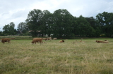 2026_06_14-11_10_56.jpg