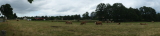 2026_06_14-11_11_22.jpg