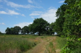 2026_06_14-12_10_24.jpg