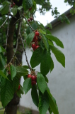 2026_06_14-12_40_54.jpg